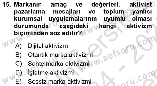 Sosyal Medya Yönetimi Dersi 2024 - 2025 Yılı (Final) Dönem Sonu Sınav Soruları 15. Soru