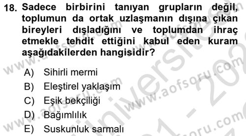 Sosyal Medya ve Siyasal İletişim Dersi 2021 - 2022 Yılı Yaz Okulu Sınav Soruları 18. Soru