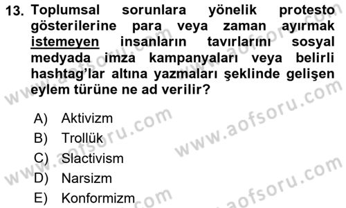Sosyal Medya ve Siyasal İletişim Dersi 2023 - 2024 Yılı Yaz Okulu Sınav Soruları 13. Soru