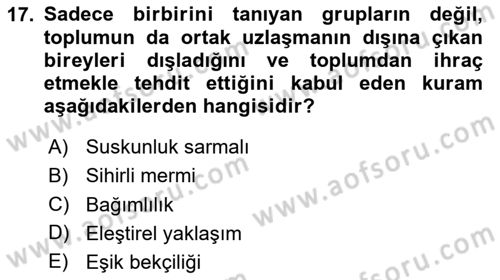 Sosyal Medya ve Siyasal İletişim Dersi 2023 - 2024 Yılı Yaz Okulu Sınav Soruları 17. Soru