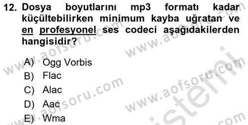 Dijital Yayıncılık Dersi 2020 - 2021 Yılı Yaz Okulu Sınav Soruları 12. Soru