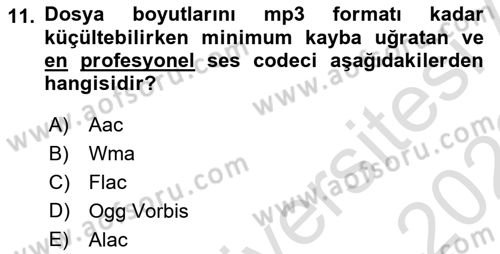Dijital Yayıncılık Dersi 2021 - 2022 Yılı Yaz Okulu Sınav Soruları 11. Soru