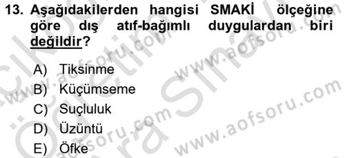 Sosyal Medya ve Kurumsal İletişim Dersi 2023 - 2024 Yılı (Vize) Ara Sınav Soruları 13. Soru