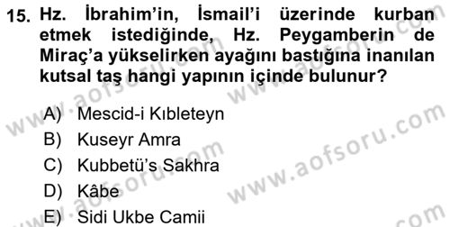 Sanat Tarihi Dersi 2017 - 2018 Yılı 3 Ders Sınav Soruları 15. Soru