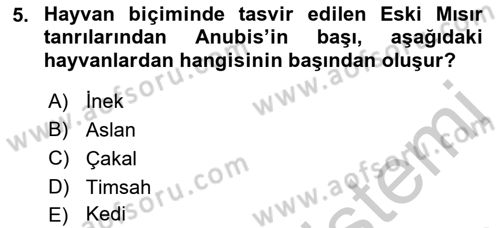 Sanat Tarihi Dersi 2018 - 2019 Yılı Yaz Okulu Sınav Soruları 5. Soru