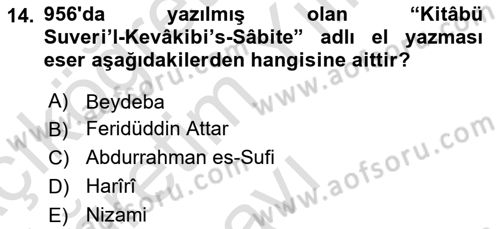 Sanat Tarihi Dersi 2020 - 2021 Yılı Yaz Okulu Sınav Soruları 14. Soru