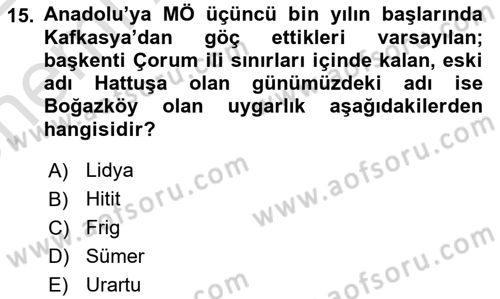 Sanat Tarihi Dersi 2021 - 2022 Yılı (Vize) Ara Sınav Soruları 15. Soru