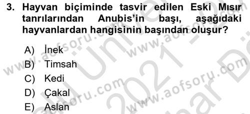 Sanat Tarihi Dersi 2021 - 2022 Yılı (Vize) Ara Sınav Soruları 3. Soru