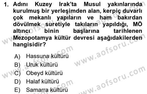 Sanat Tarihi Dersi 2021 - 2022 Yılı Yaz Okulu Sınav Soruları 1. Soru