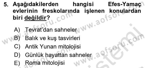 Sanat Tarihi Dersi 2021 - 2022 Yılı Yaz Okulu Sınav Soruları 5. Soru