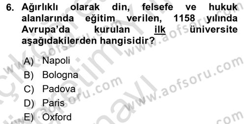 Sanat Tarihi Dersi 2021 - 2022 Yılı Yaz Okulu Sınav Soruları 6. Soru