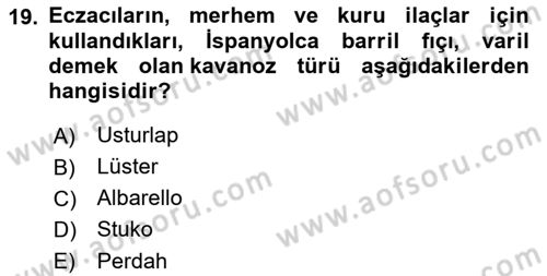 Sanat Tarihi Dersi 2022 - 2023 Yılı Yaz Okulu Sınavı 19. Soru