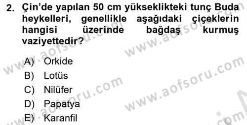 Sanat Tarihi Dersi 2023 - 2024 Yılı (Vize) Ara Sınav Soruları 2. Soru