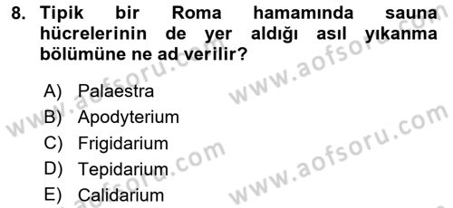 Sanat Tarihi Dersi 2023 - 2024 Yılı (Vize) Ara Sınav Soruları 8. Soru