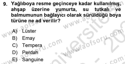 Sanat Tarihi Dersi 2023 - 2024 Yılı (Final) Dönem Sonu Sınav Soruları 9. Soru