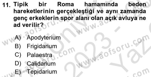 Sanat Tarihi Dersi 2023 - 2024 Yılı Yaz Okulu Sınav Soruları 11. Soru