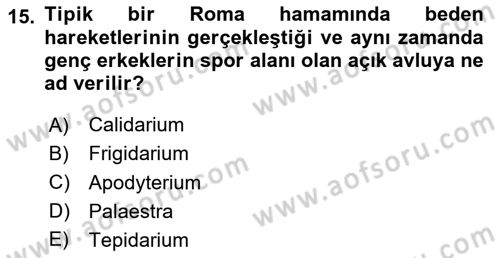 Sanat Tarihi Dersi 2024 - 2025 Yılı (Vize) Ara Sınav Soruları 15. Soru