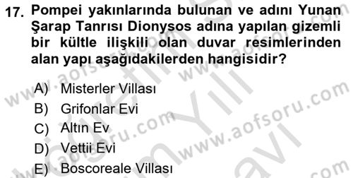 Sanat Tarihi Dersi 2024 - 2025 Yılı (Vize) Ara Sınav Soruları 17. Soru