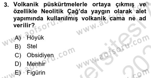 Sanat Tarihi Dersi 2024 - 2025 Yılı (Vize) Ara Sınav Soruları 3. Soru