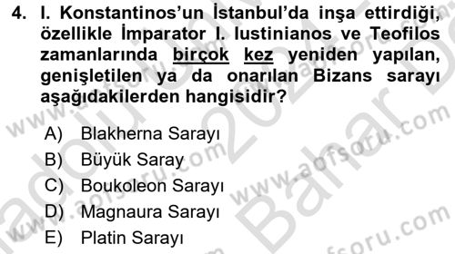 Sanat Tarihi Dersi 2024 - 2025 Yılı (Vize) Ara Sınav Soruları 4. Soru
