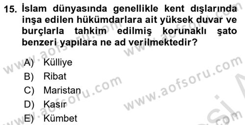 Sanat Tarihi Dersi 2024 - 2025 Yılı (Final) Dönem Sonu Sınav Soruları 15. Soru