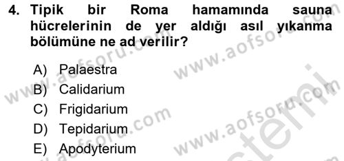 Sanat Tarihi Dersi 2024 - 2025 Yılı (Final) Dönem Sonu Sınav Soruları 4. Soru
