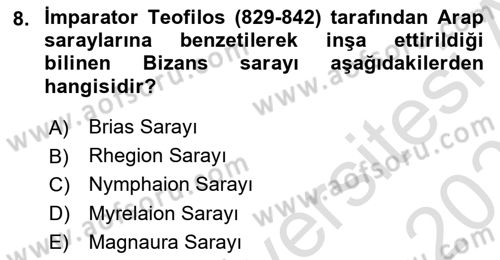 Sanat Tarihi Dersi 2024 - 2025 Yılı (Final) Dönem Sonu Sınav Soruları 8. Soru
