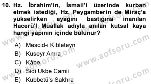 Sanat Tarihi Dersi 2024 - 2025 Yılı Yaz Okulu Sınav Soruları 10. Soru