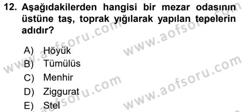 Sanat Tarihi Dersi 2024 - 2025 Yılı Yaz Okulu Sınav Soruları 12. Soru
