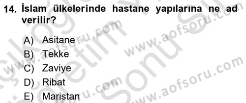 Sanat Tarihi Dersi 2025 - 2026 Yılı (Final) Dönem Sonu Sınav Soruları 14. Soru