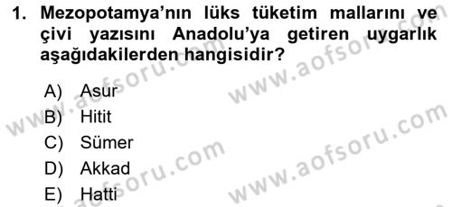 Sanat Tarihi Dersi 2025 - 2026 Yılı Yaz Okulu Sınav Soruları 1. Soru