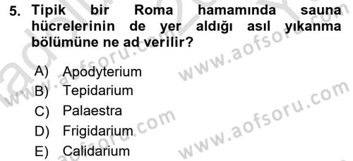 Sanat Tarihi Dersi 2025 - 2026 Yılı Yaz Okulu Sınav Soruları 5. Soru