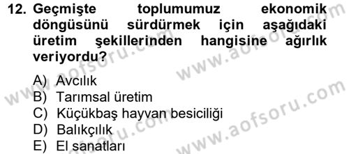 Topluma Hizmet Eğitimi Dersi 2012 - 2013 Yılı (Final) Dönem Sonu Sınav Soruları 12. Soru