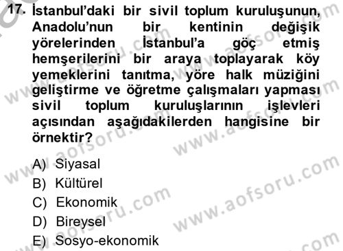 Topluma Hizmet Eğitimi Dersi 2013 - 2014 Yılı (Vize) Ara Sınav Soruları 17. Soru