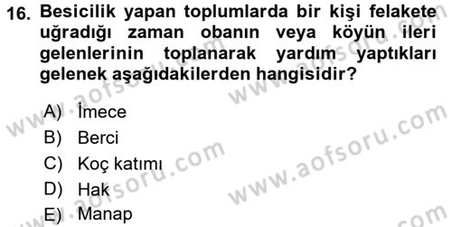 Topluma Hizmet Eğitimi Dersi 2017 - 2018 Yılı 3 Ders Sınav Soruları 16. Soru