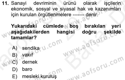 Topluma Hizmet Eğitimi Dersi 2017 - 2018 Yılı (Vize) Ara Sınav Soruları 11. Soru