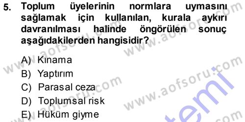 Sosyolojiye Giriş Dersi 2013 - 2014 Yılı (Vize) Ara Sınav Soruları 5. Soru
