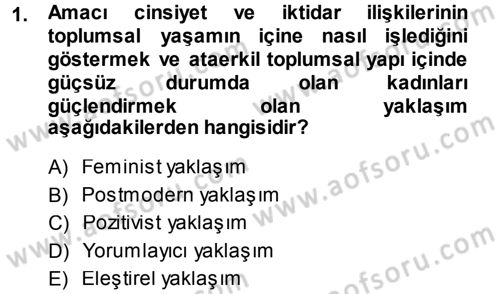 Sosyolojiye Giriş Dersi 2013 - 2014 Yılı (Final) Dönem Sonu Sınav Soruları 1. Soru