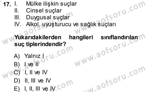 Sosyolojiye Giriş Dersi 2013 - 2014 Yılı (Final) Dönem Sonu Sınav Soruları 17. Soru