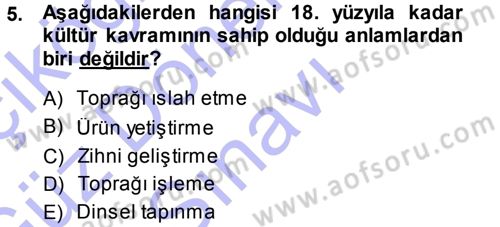 Sosyolojiye Giriş Dersi 2013 - 2014 Yılı (Final) Dönem Sonu Sınav Soruları 5. Soru