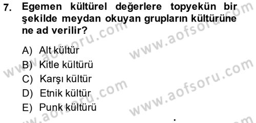 Sosyolojiye Giriş Dersi 2013 - 2014 Yılı (Final) Dönem Sonu Sınav Soruları 7. Soru