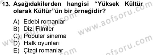 Sosyolojiye Giriş Dersi 2013 - 2014 Yılı Tek Ders Sınav Soruları 13. Soru