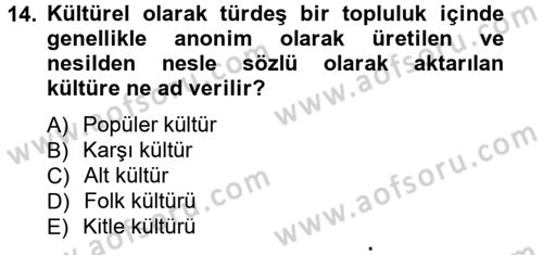 Sosyolojiye Giriş Dersi 2013 - 2014 Yılı Tek Ders Sınav Soruları 14. Soru