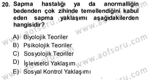 Sosyolojiye Giriş Dersi 2013 - 2014 Yılı Tek Ders Sınav Soruları 20. Soru