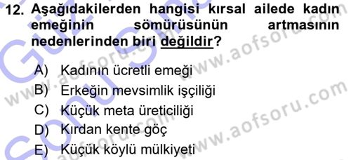 Sosyolojiye Giriş Dersi 2015 - 2016 Yılı (Final) Dönem Sonu Sınav Soruları 12. Soru