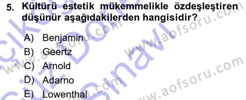 Sosyolojiye Giriş Dersi 2015 - 2016 Yılı (Final) Dönem Sonu Sınav Soruları 5. Soru