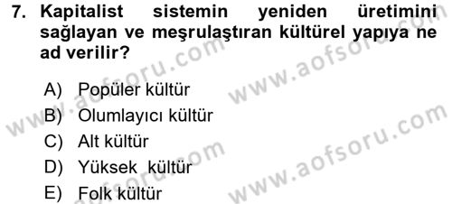 Sosyolojiye Giriş Dersi 2015 - 2016 Yılı (Final) Dönem Sonu Sınav Soruları 7. Soru