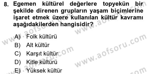 Sosyolojiye Giriş Dersi 2015 - 2016 Yılı (Final) Dönem Sonu Sınav Soruları 8. Soru