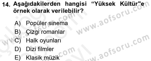Sosyolojiye Giriş Dersi 2015 - 2016 Yılı Tek Ders Sınav Soruları 14. Soru