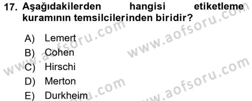 Sosyolojiye Giriş Dersi 2016 - 2017 Yılı 3 Ders Sınav Soruları 17. Soru